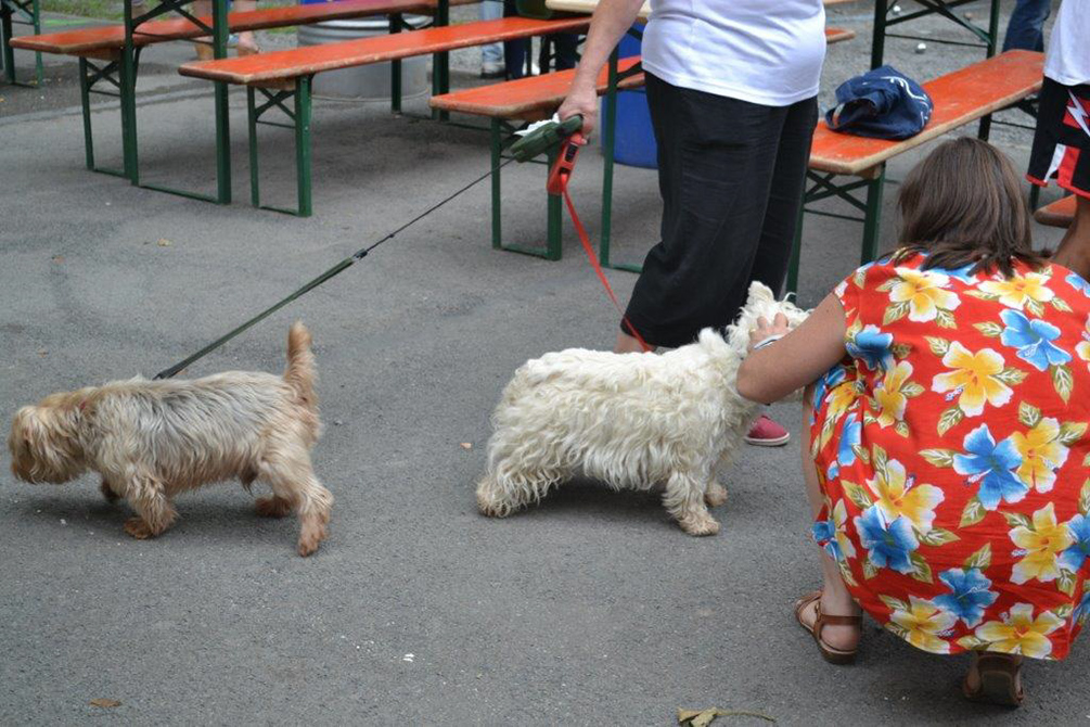 Fête du XV août 140809 petanque 47